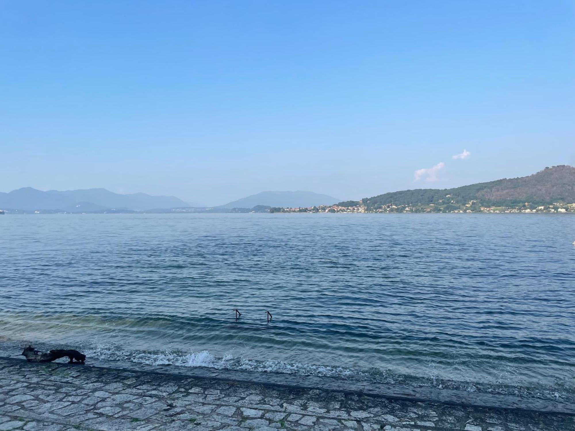 Appartamento Sul Lago - Meina Εξωτερικό φωτογραφία